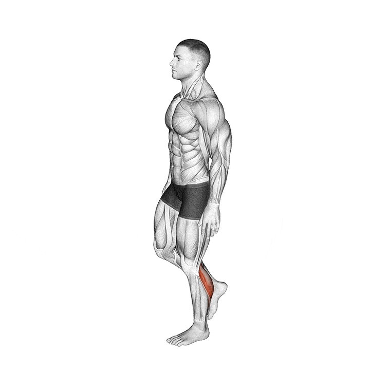 single-leg-standing-calf-raise for calf